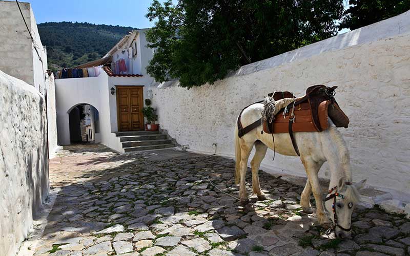 Περιήγηση στο λιμάνι